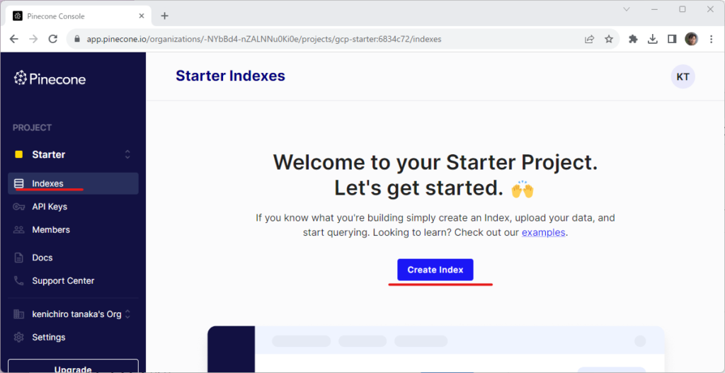 LangChain入門 – 9)Vector Store ベクトルストア 8 vector8
